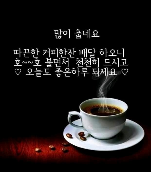 세루티 트위드코트 &원피스 5