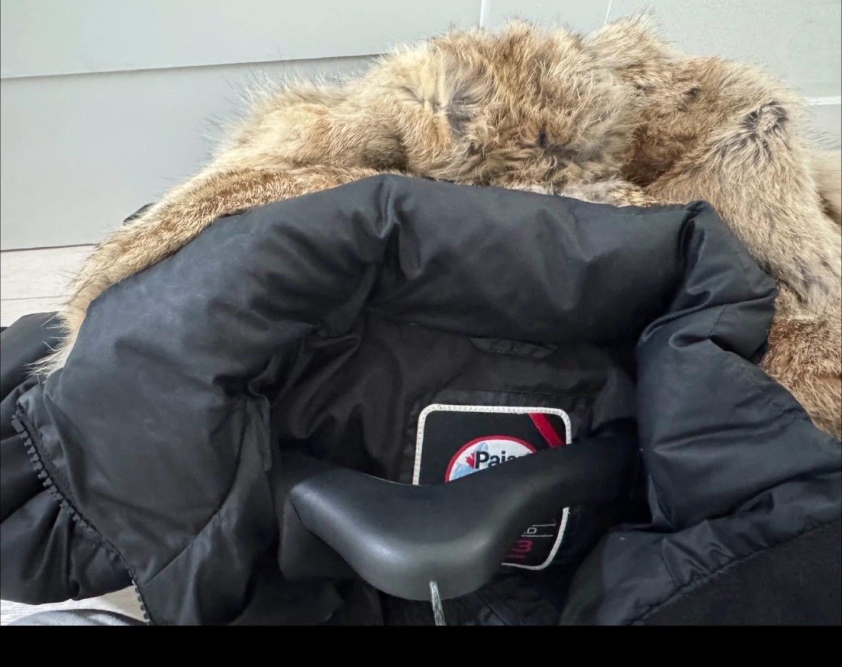 파잘 슬림 롱패딩 s 55사이즈 4