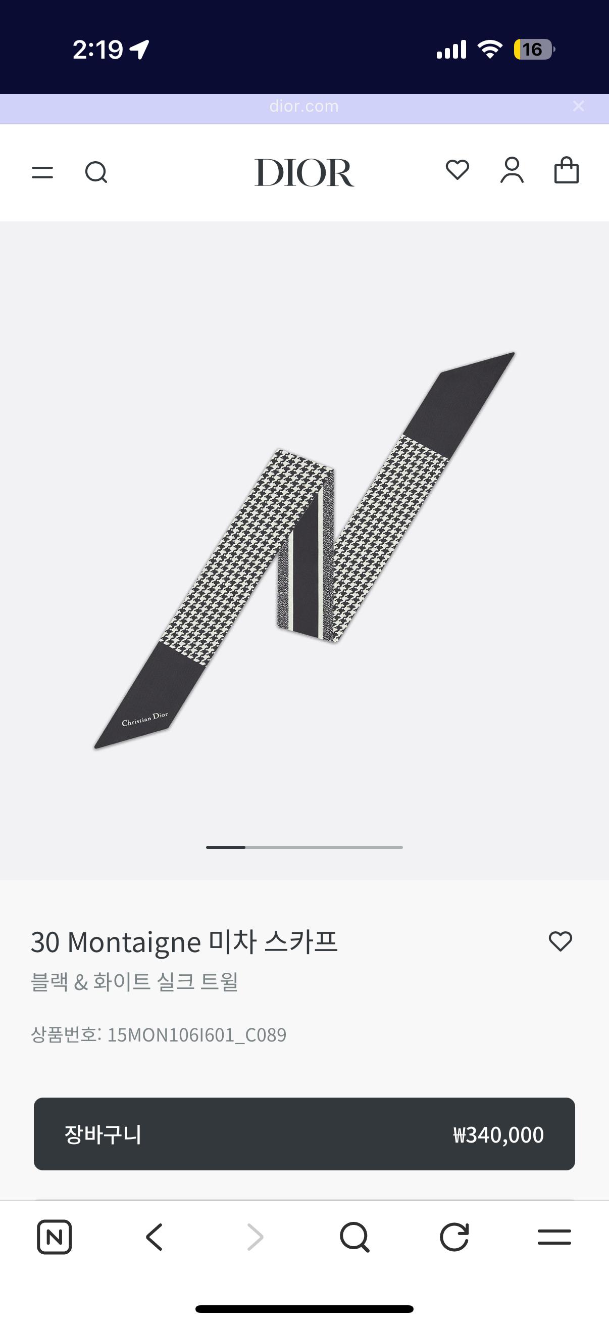디올 미차 스카프 5