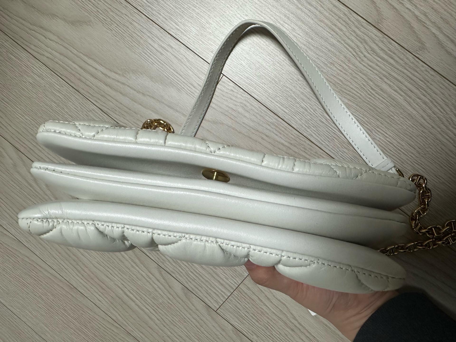 디올 카로 파우치 카프스킨 라떼 구형 9