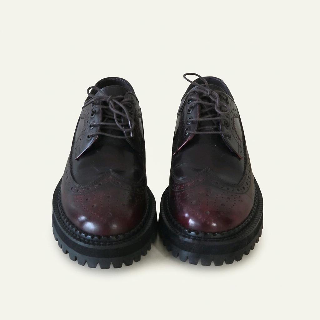 에이레네 윙팁 240 1