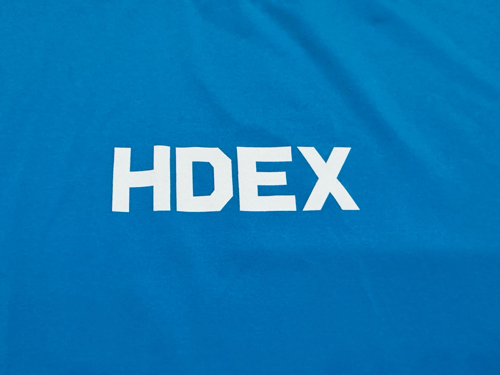 HDEX 반팔티 6