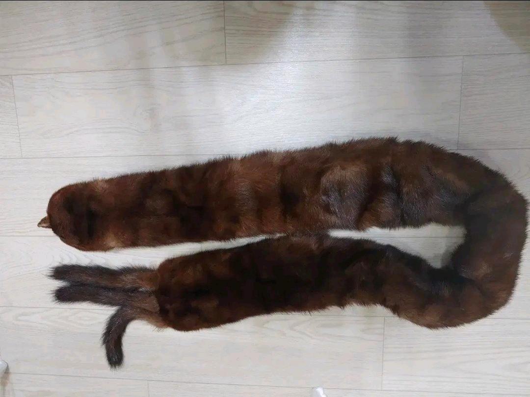 천연 여우목도리  2