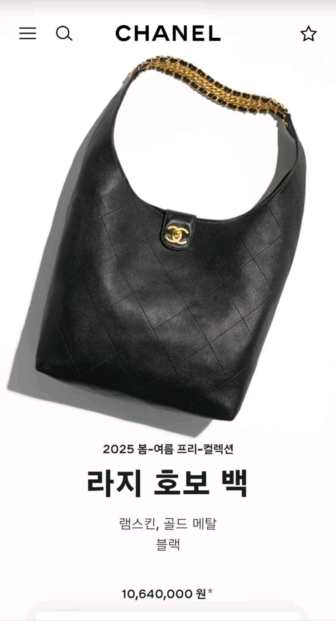 샤넬 호보백 11