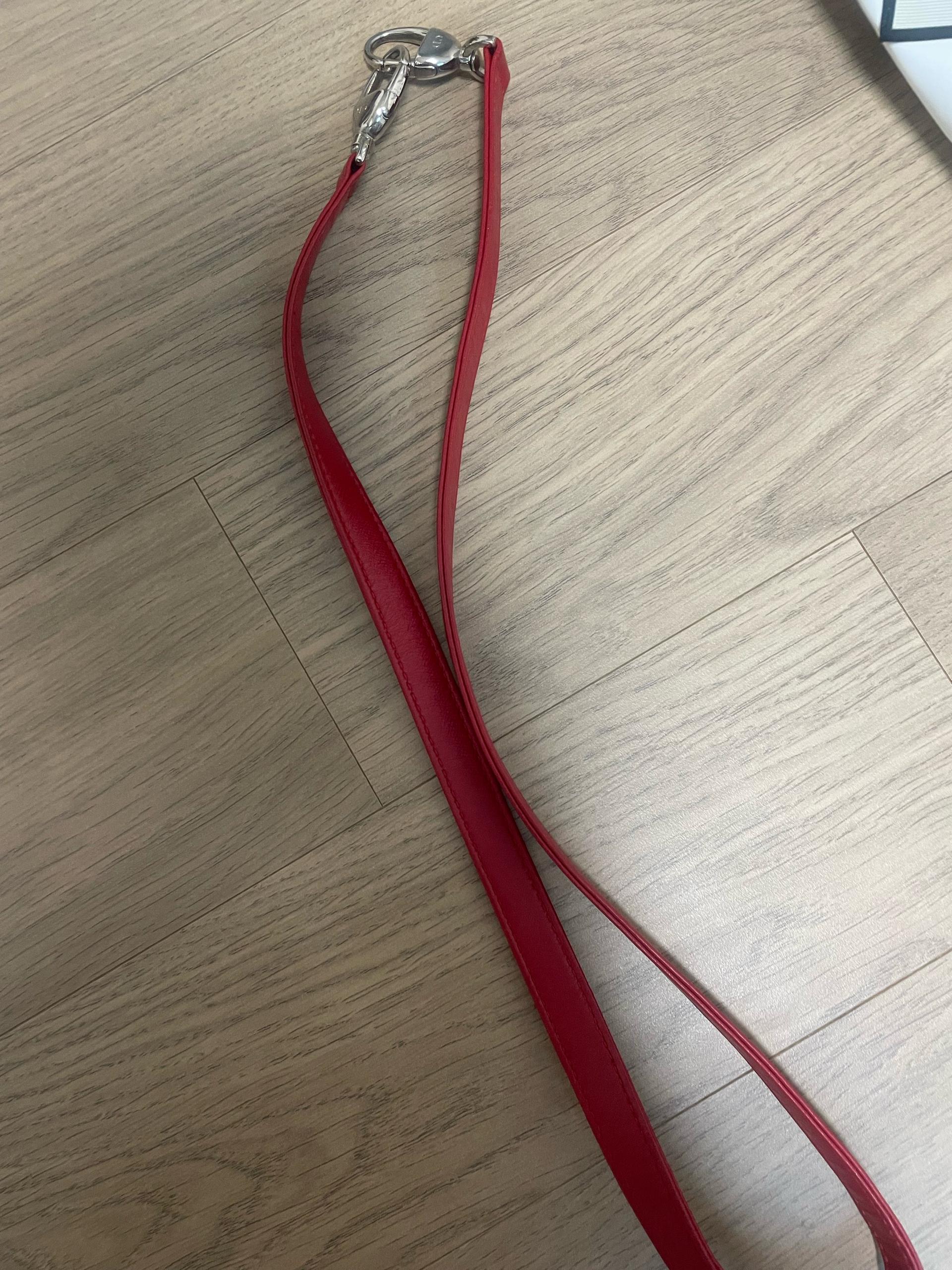 디올 레이디백 스트랩 2