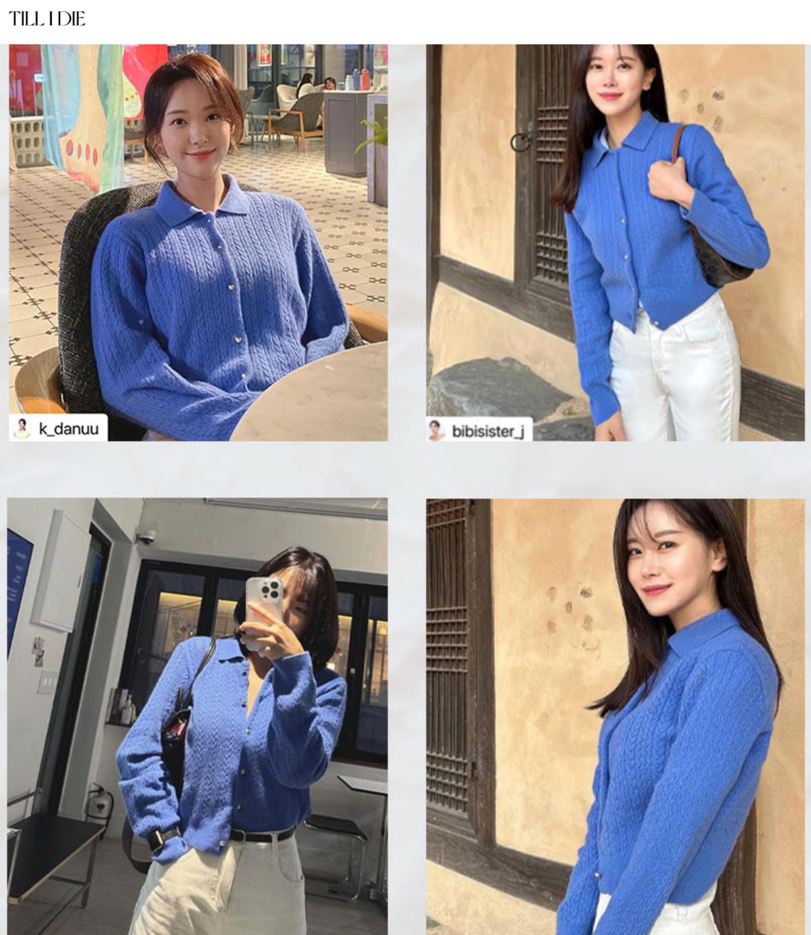 틸아이다이 라쿤 가디건 Raccoon gold button cardigan 2