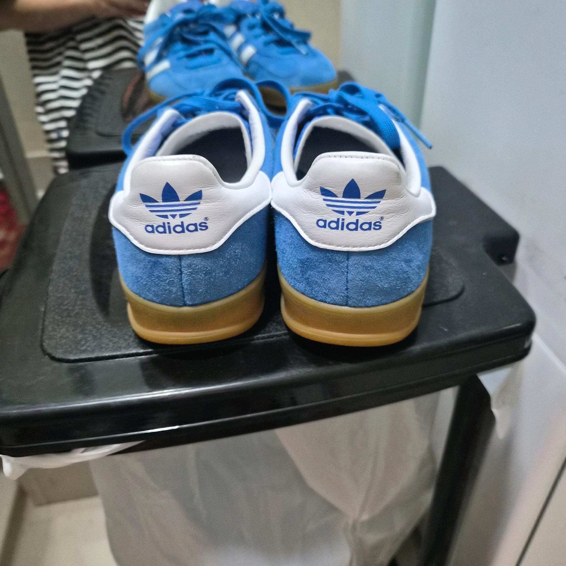 가젤인도어블루 220 5
