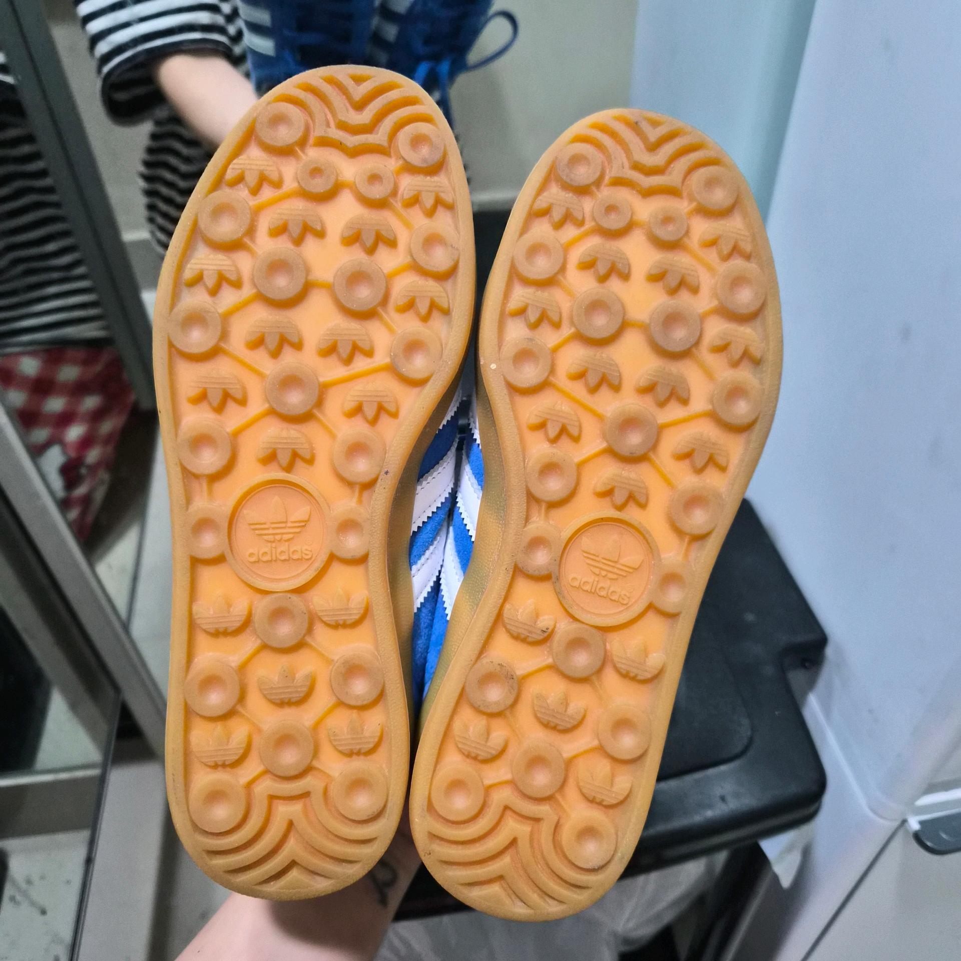 가젤인도어블루 220 7