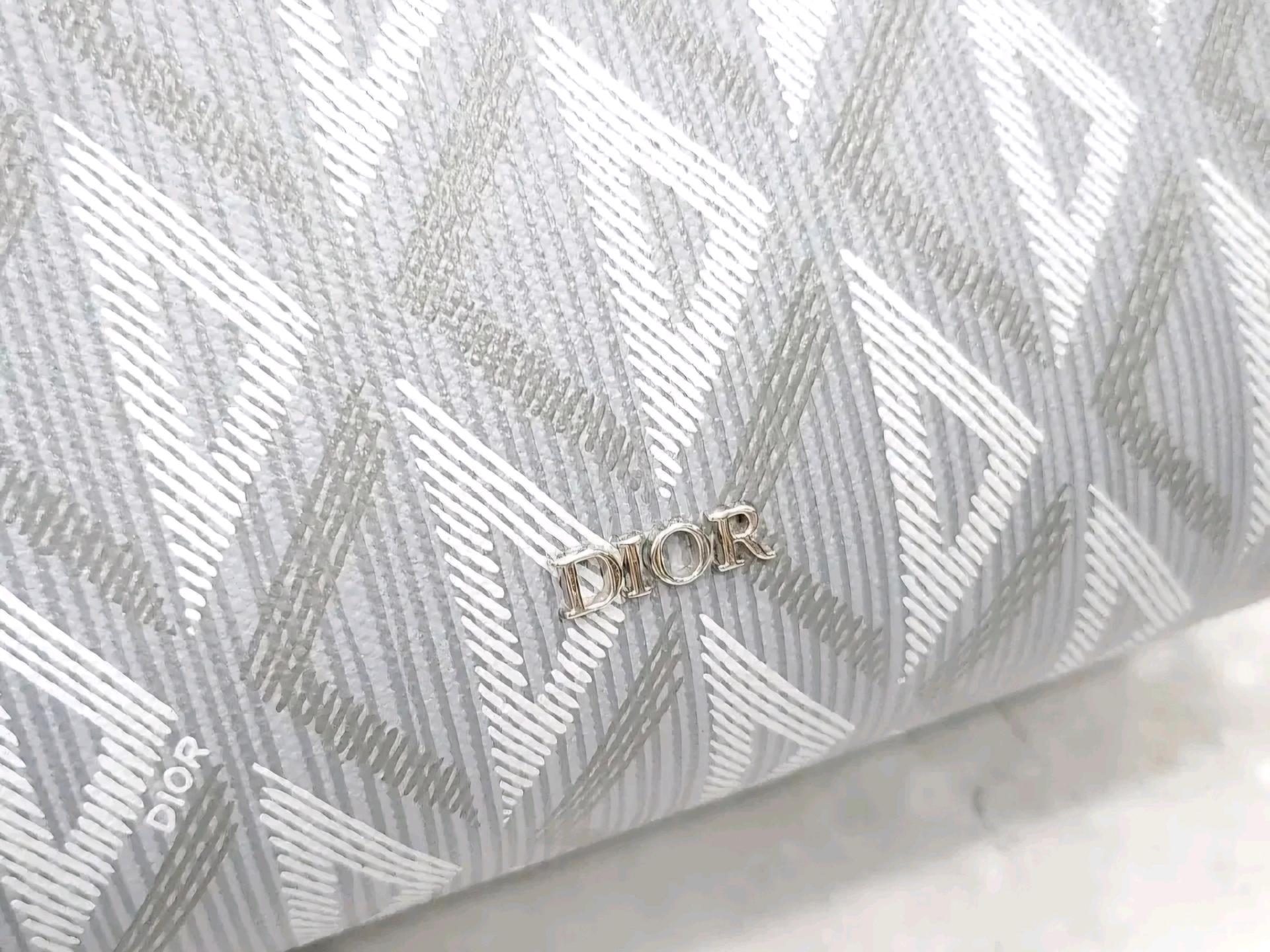 디올 링고 22 백 8