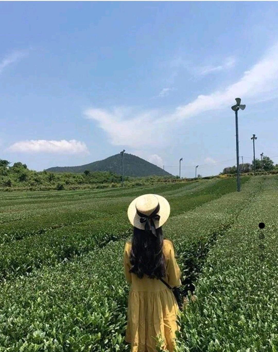 심플와이 도복순 유채꽃 원피스 2