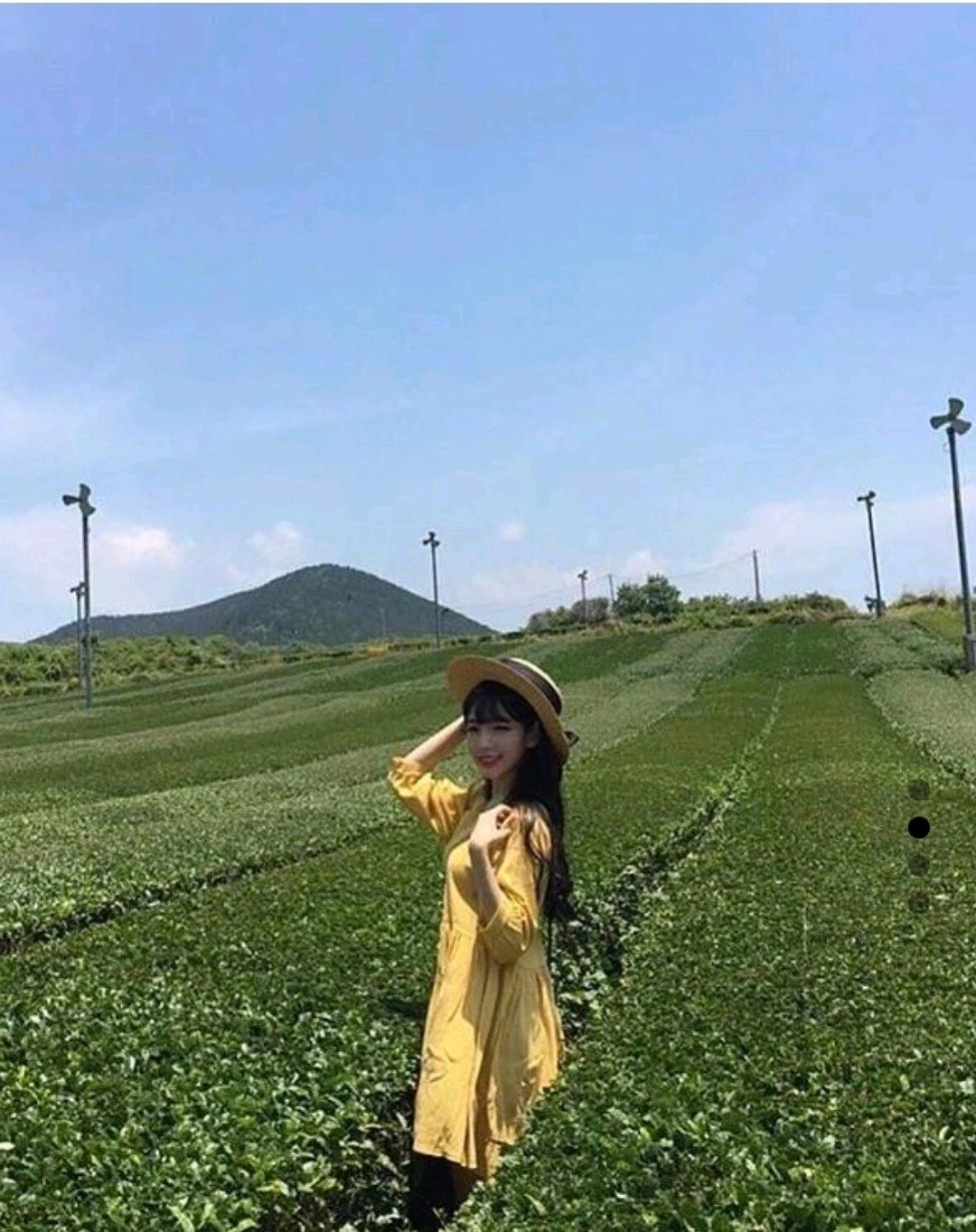 심플와이 도복순 유채꽃 원피스 3