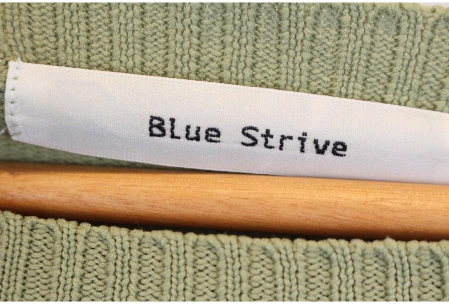 (90% 할인) Blue Strive 3