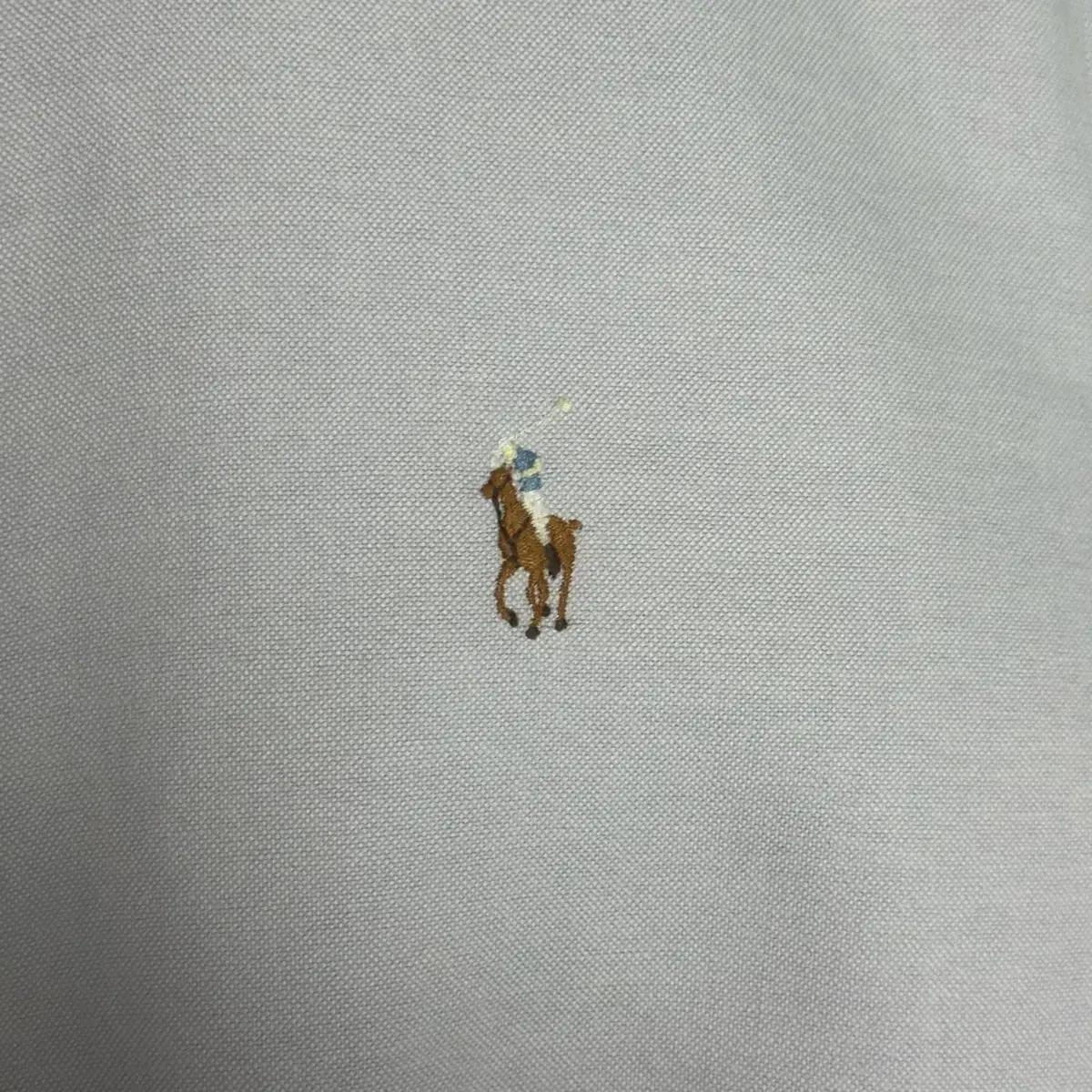 폴로 셔츠 6