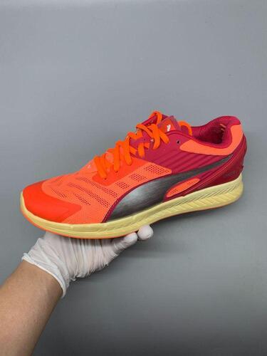 PUMA(푸마) IGNITE v2 250mm 11