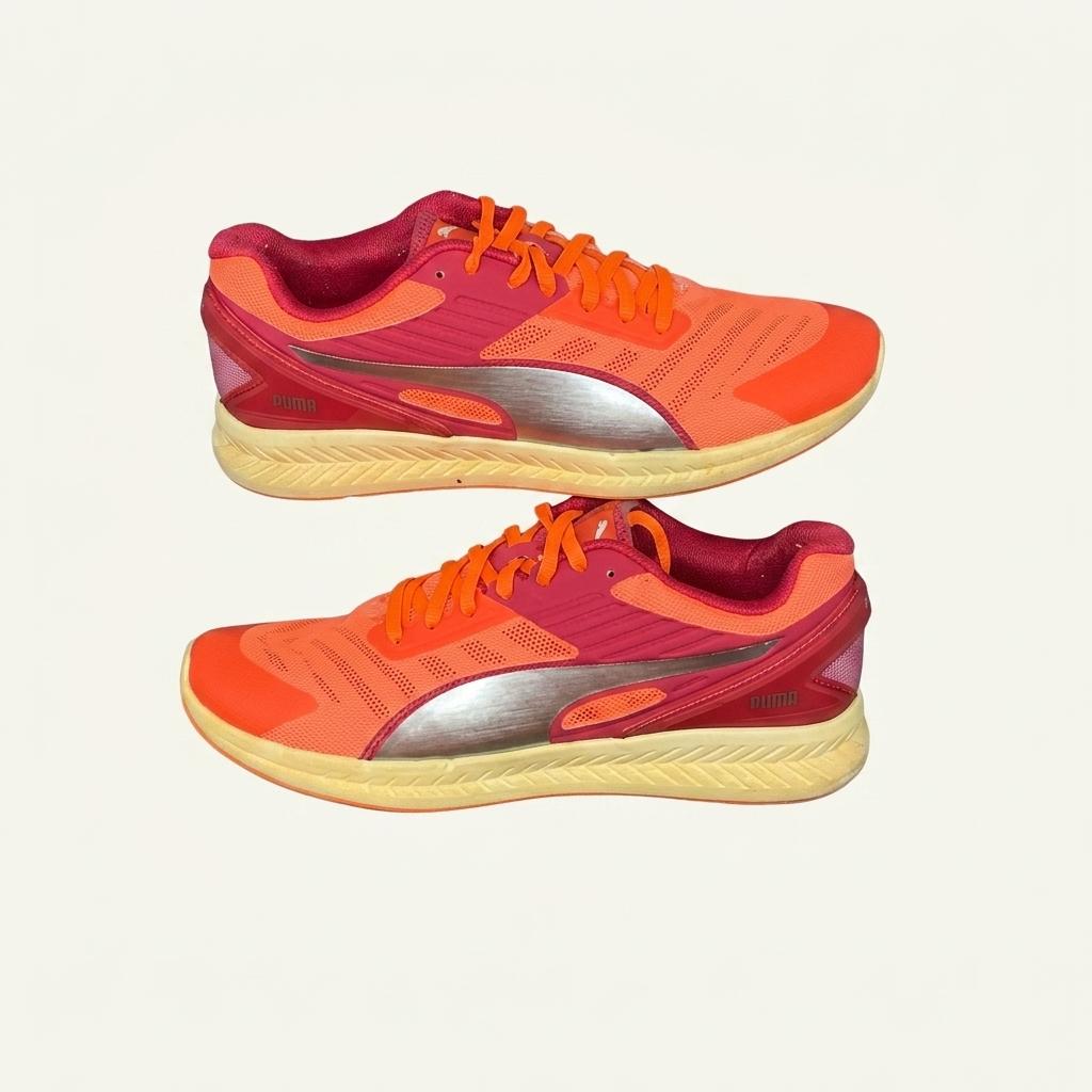 PUMA(푸마) IGNITE v2 250mm 1