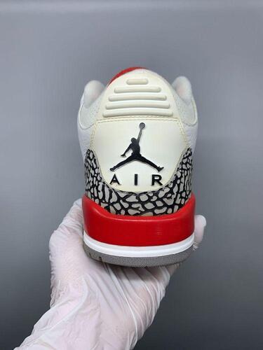 Jordan 3 Retro Hall of Fame 255mm(gr-1545) 6