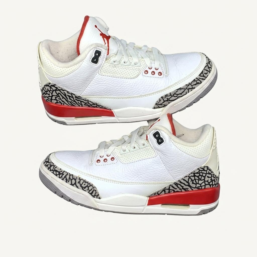 Jordan 3 Retro Hall of Fame 255mm(gr-1545) 1