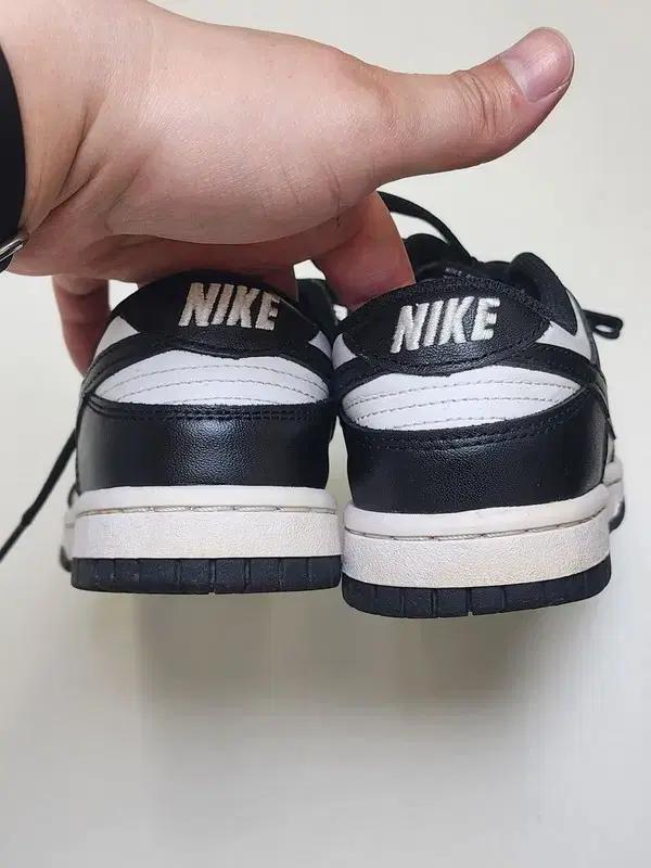 NIKE 우먼스 범고래 덩크로우 225 7