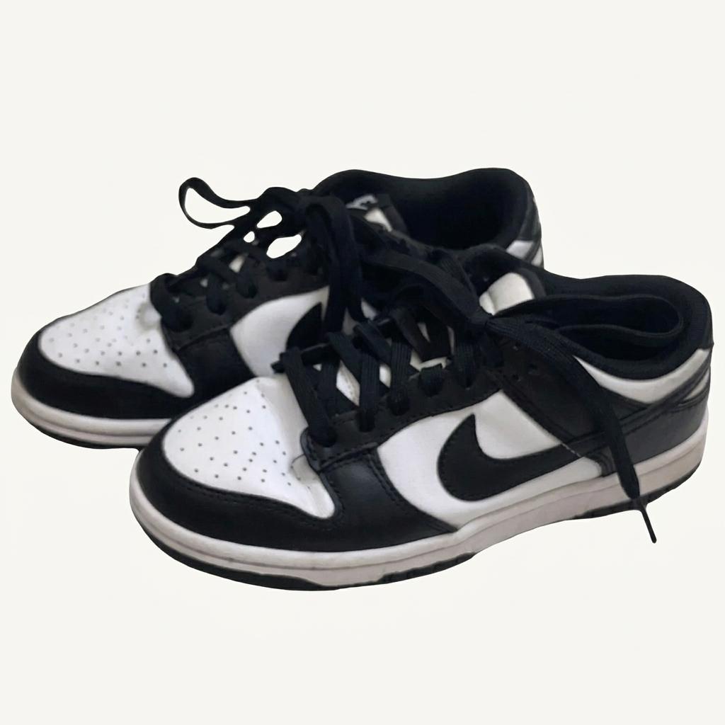NIKE 우먼스 범고래 덩크로우 225 1