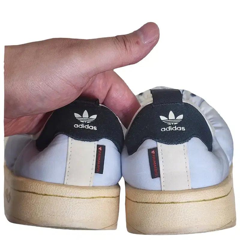 ADIDAS 퍼피렛 슈퍼스타 클라우드 화이트 235 8