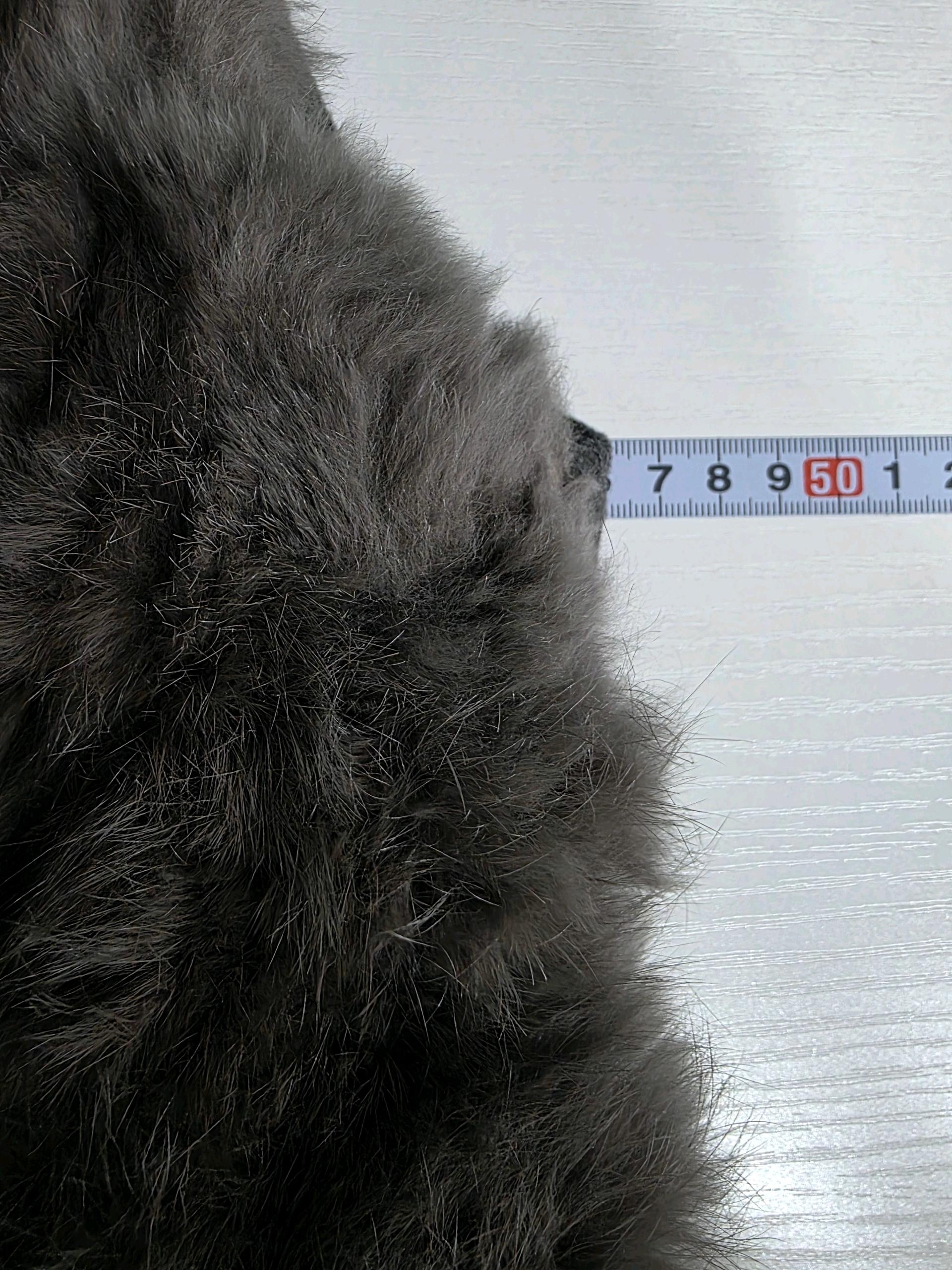 크로커다일 레이디 토끼털 패딩 하프 조끼 90 6