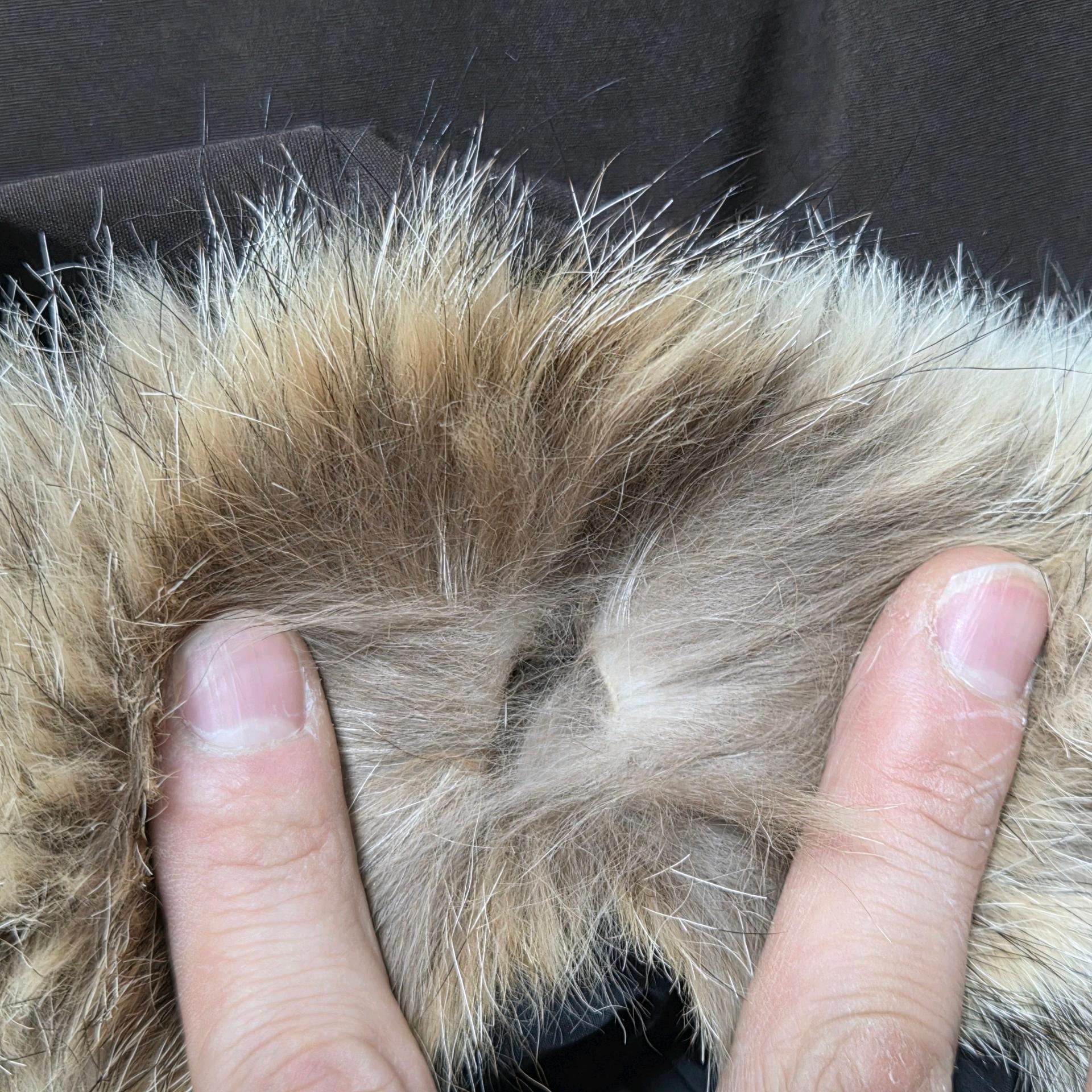 Canada Goose 캐나다구스 익스페디션  패딩 7