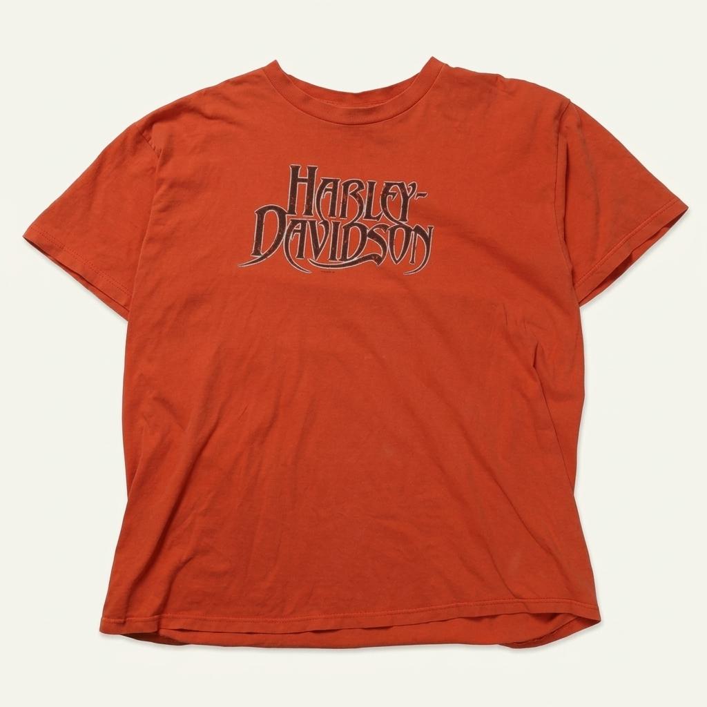 할리 데이비슨 Harley Davidson Printing T-shirt 1