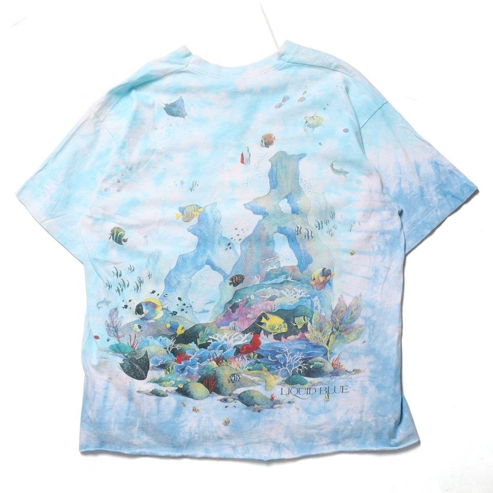 리퀴드 블루 90’s Liquid Blue Coral Reef Aquatic 5