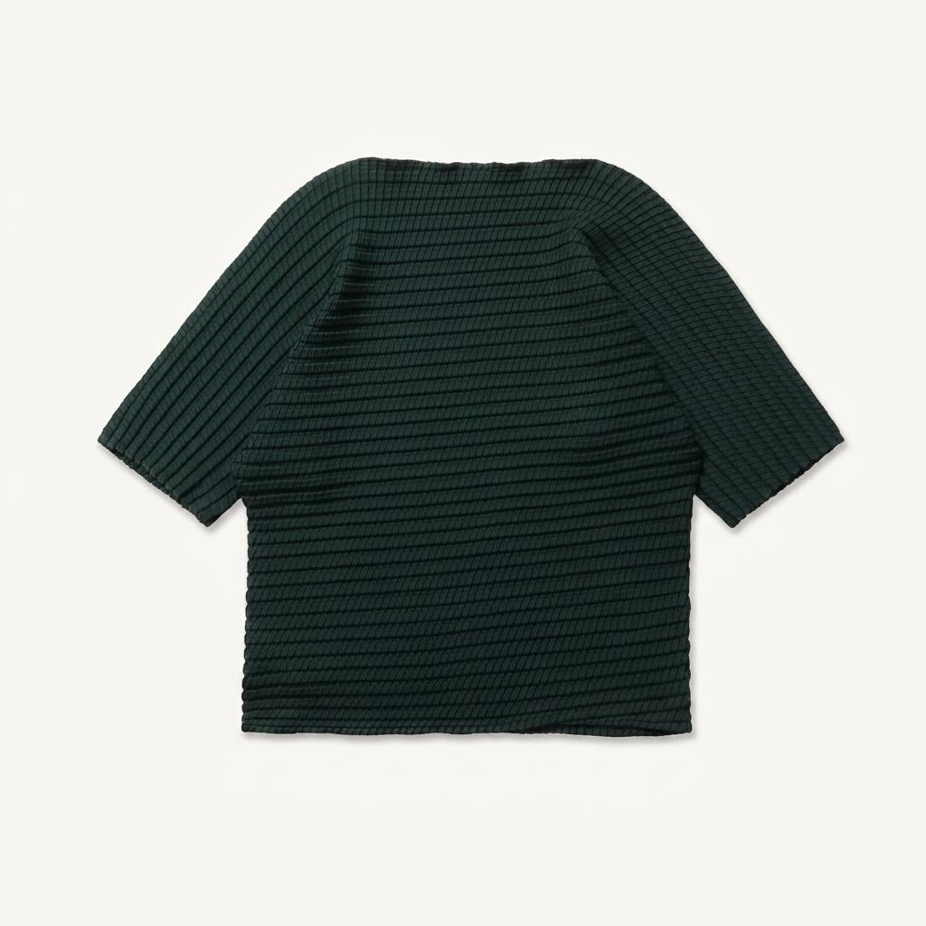 이세이미야케 Issey Miyake Pleats Top 1