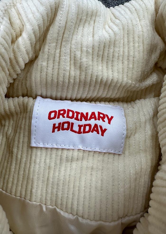 ordinary holiday 6