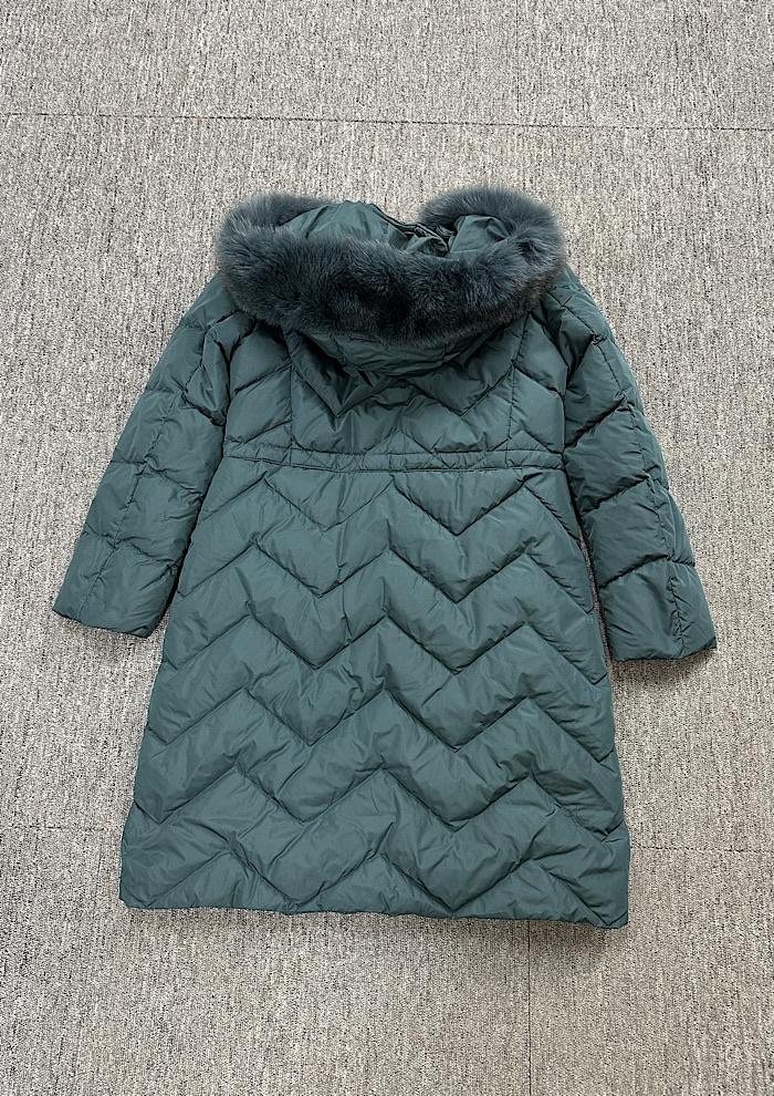 crocodile (M) 6