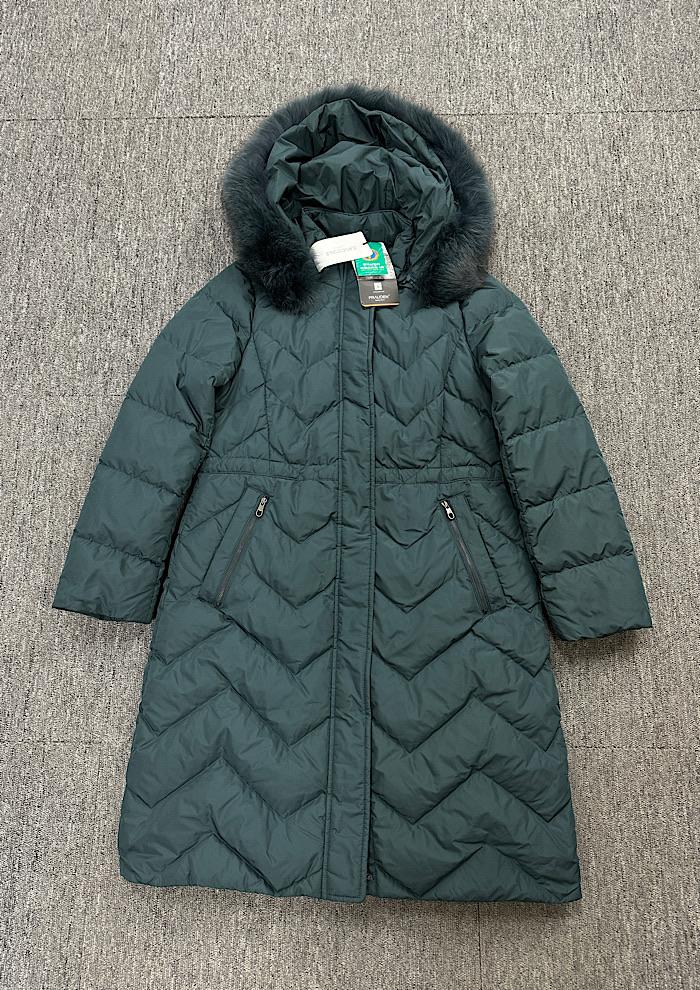 crocodile (M) 2