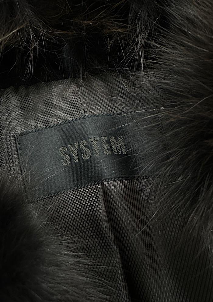 system (S) 6