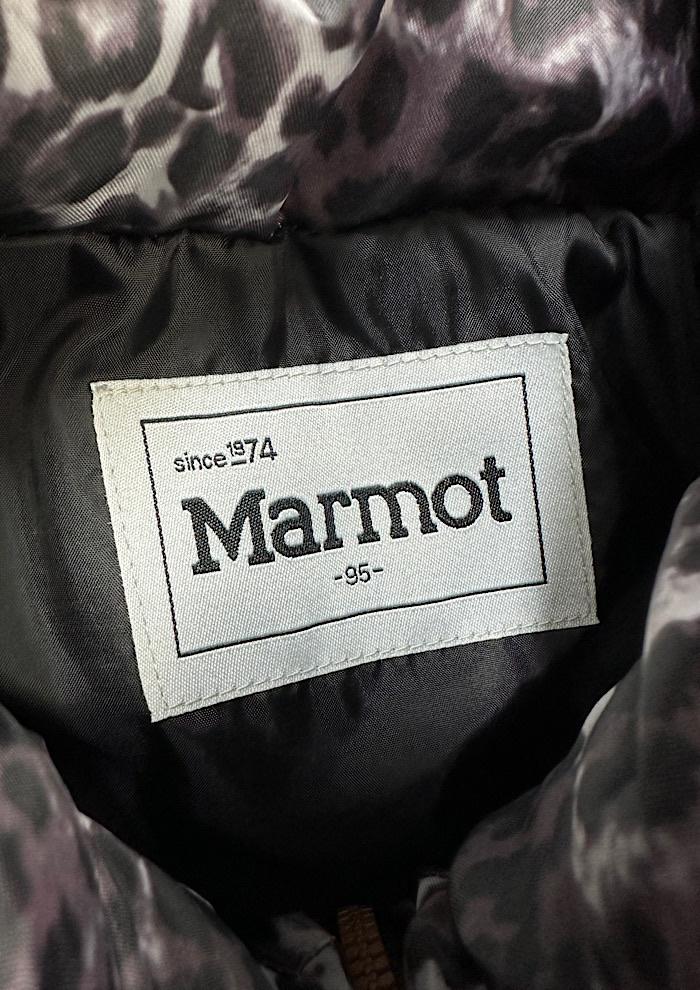 marmot (L) 6
