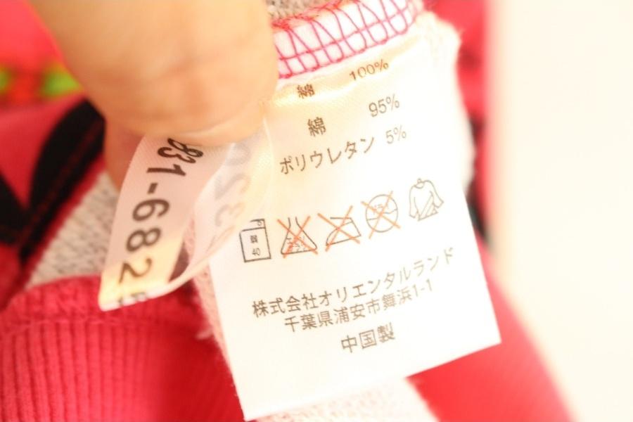 TOKYO DISNEY RESORT 디즈니 11