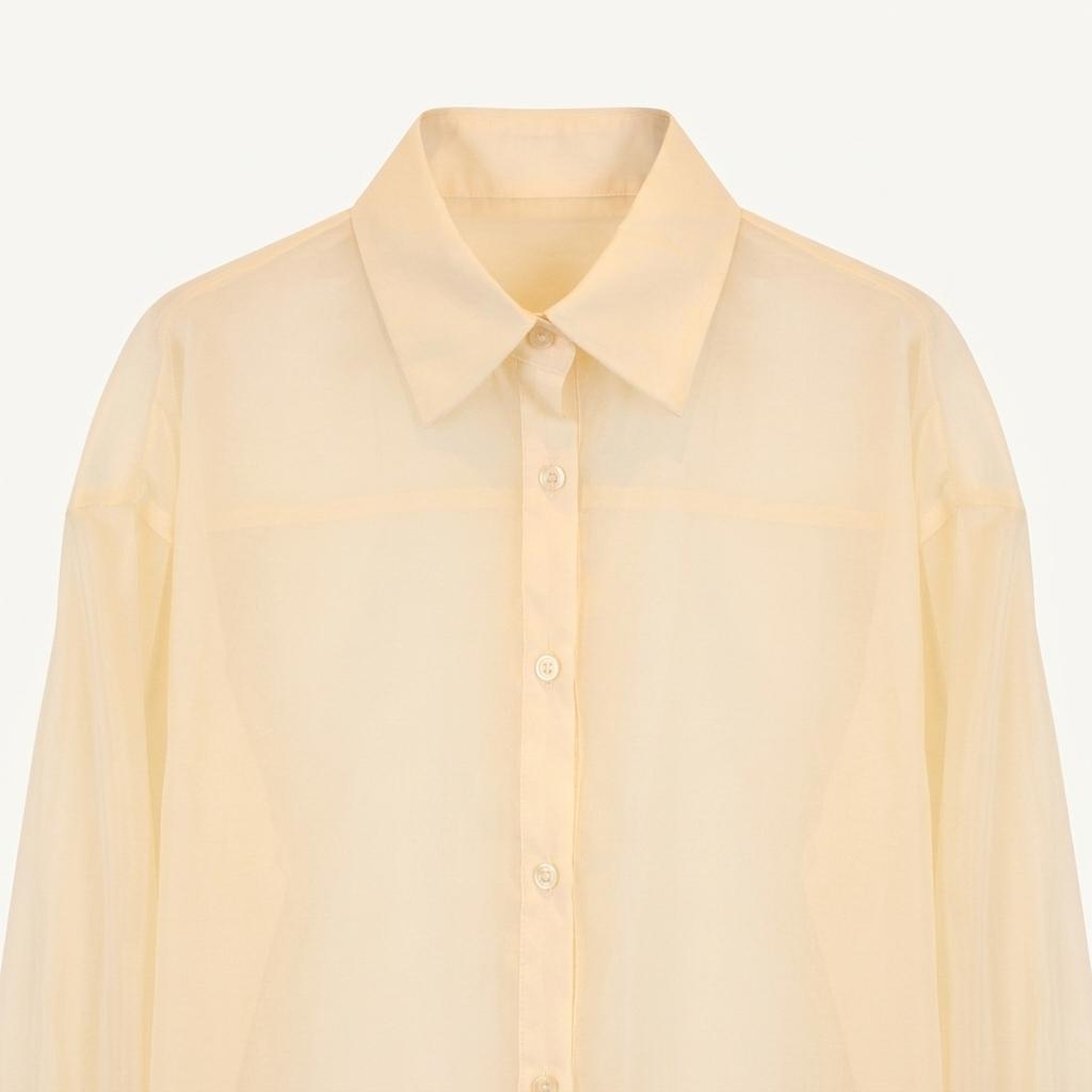 CLEAR poly see through blouse 1
