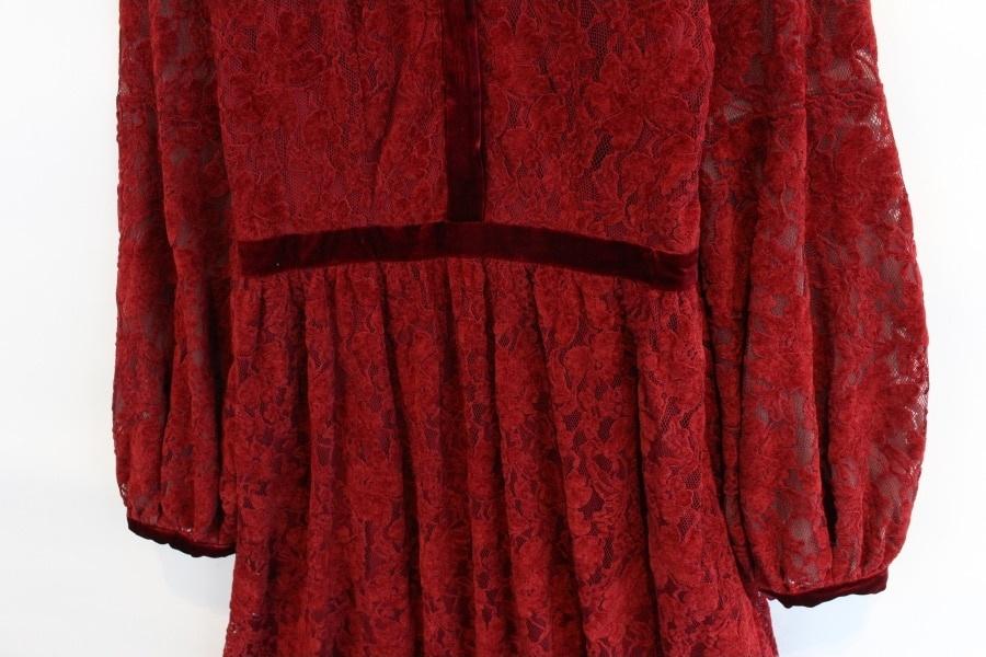 ANEWSTA by Shein velvet flower lace see through 6