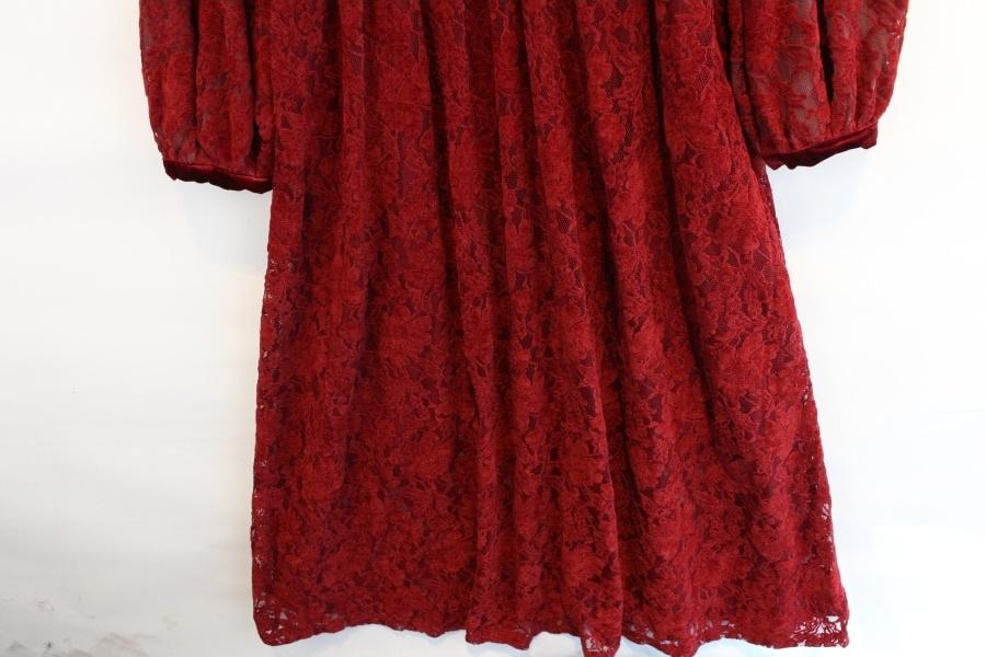 ANEWSTA by Shein velvet flower lace see through 7