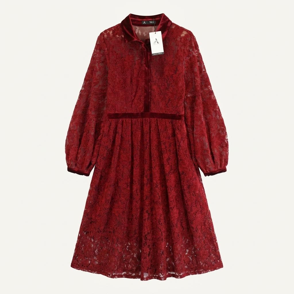 ANEWSTA by Shein velvet flower lace see through 1