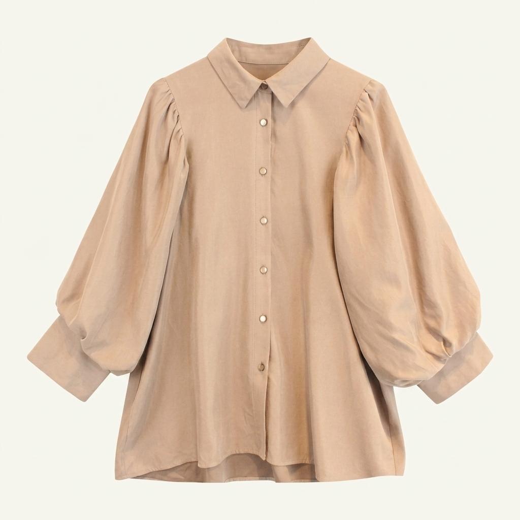 EMS excite puff sleeve blouse 1