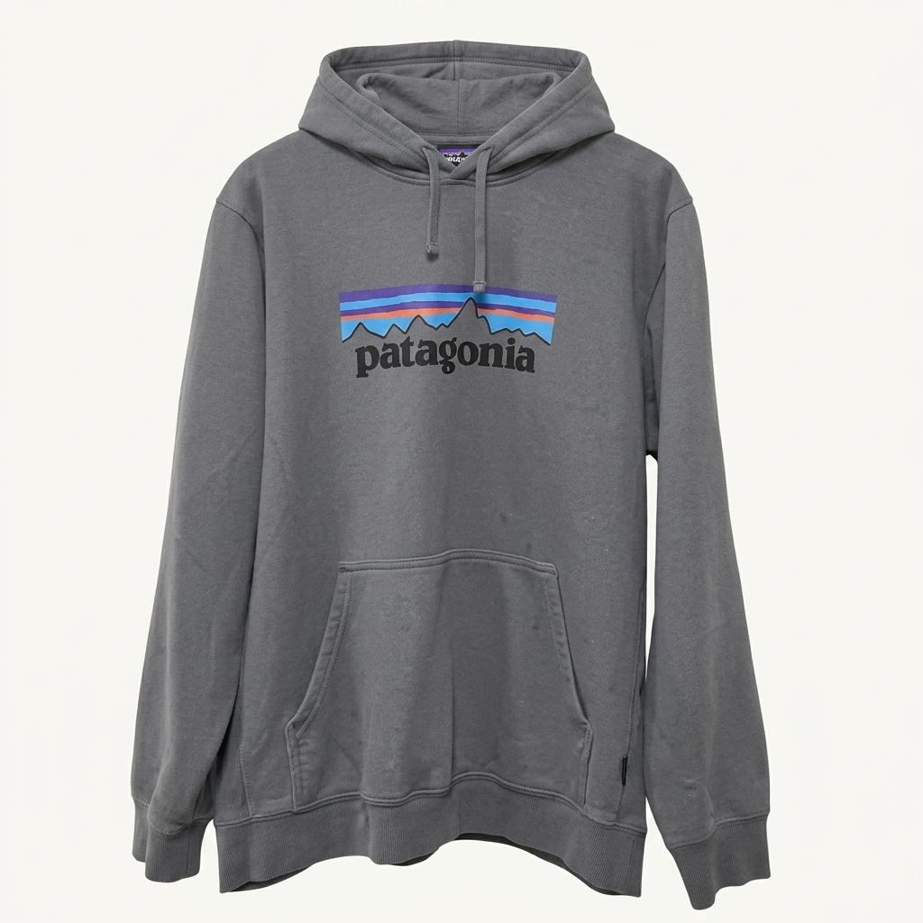 2XL 파타고니아 후드티 C542 1