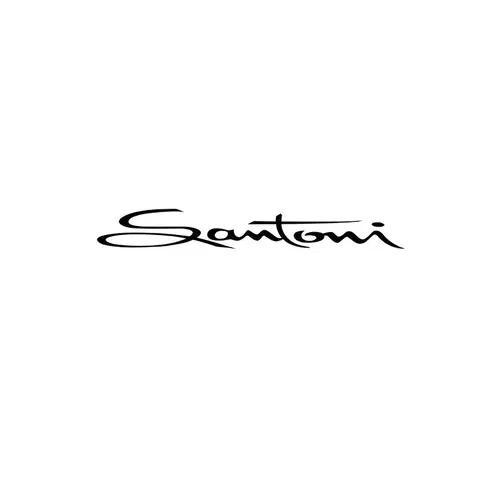 산토니 [Santoni] 브라운 이탈리아 유팁 슈즈 남성적인 쉐잎 9