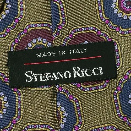 스테파노 리치 [Stefano Ricci] 럭셔리 실크 페이즐리 명품타이 6