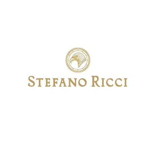 스테파노 리치 [Stefano Ricci] 럭셔리 실크 페이즐리 명품타이 7