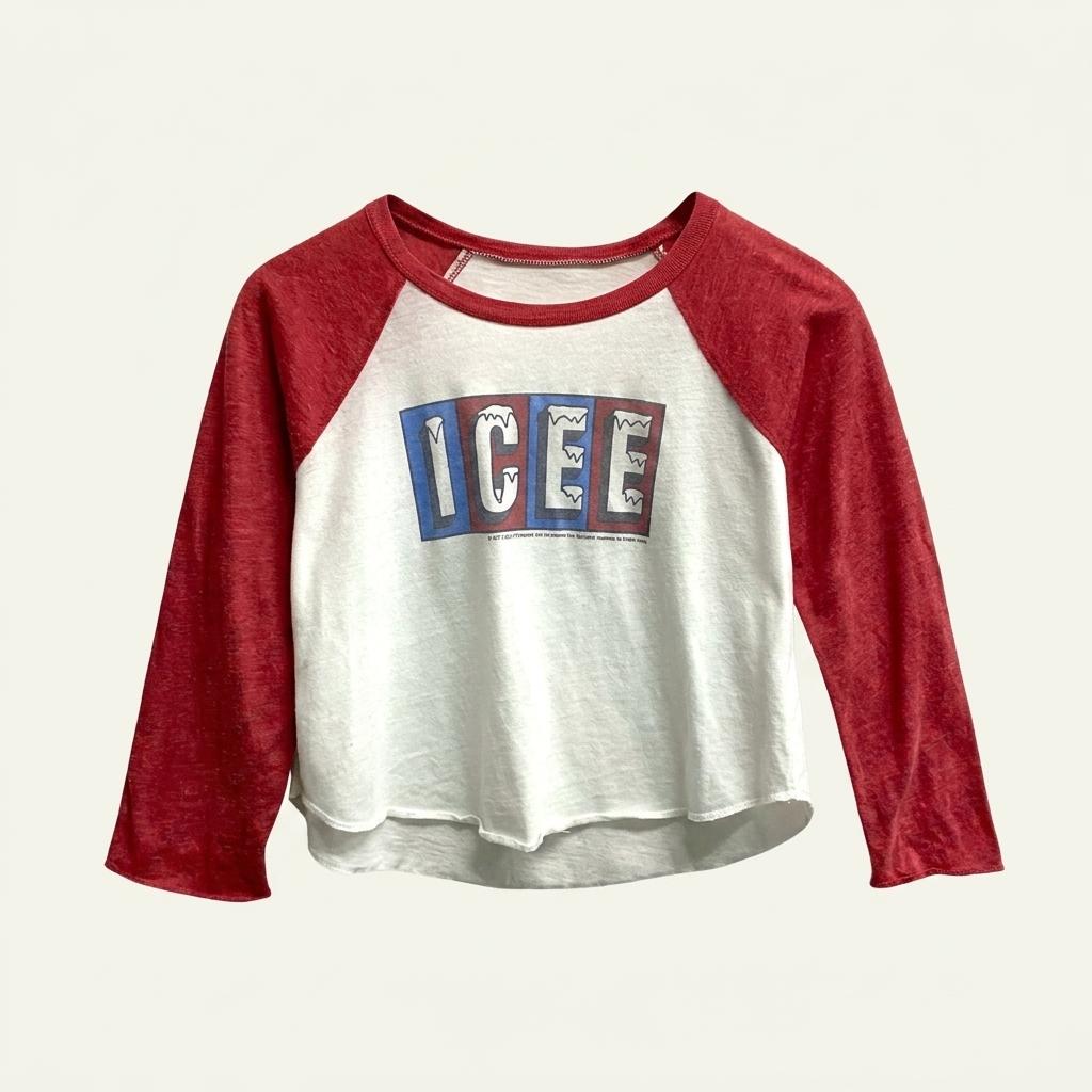 Hollister ICEE 래글런 크롭 티셔츠 S 1