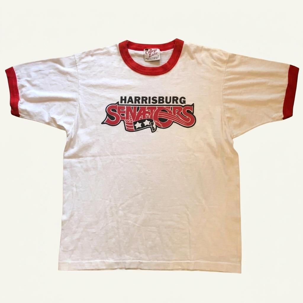 70s~90s Ringer T-shirt-L 1