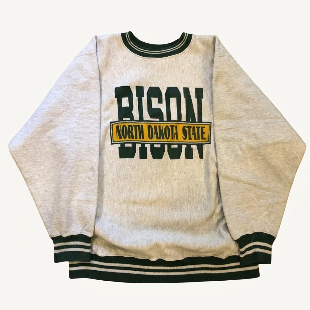 90s Champion Reverse Weave USA made 1