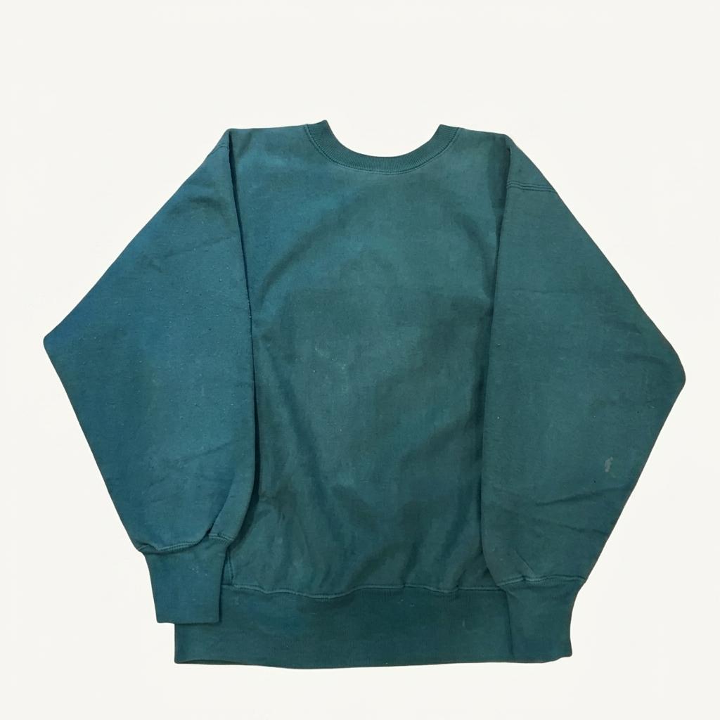 90s Champion Reverse Weave 1
