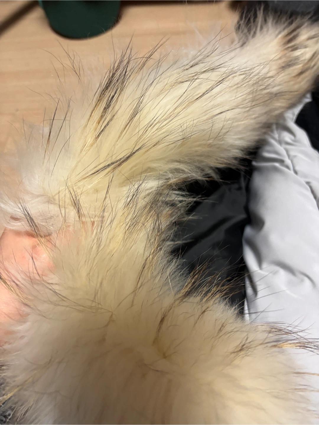 폴햄 롱패딩 구스 3