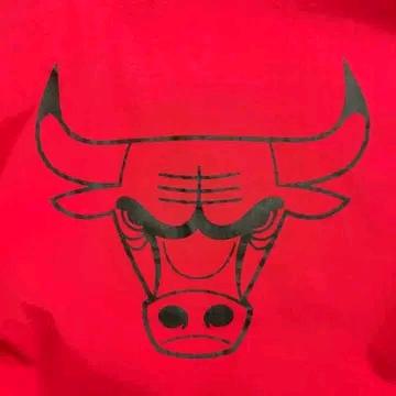 NBA 시카고 볼스 팀로고 아노락 후드티 레드 XL 9